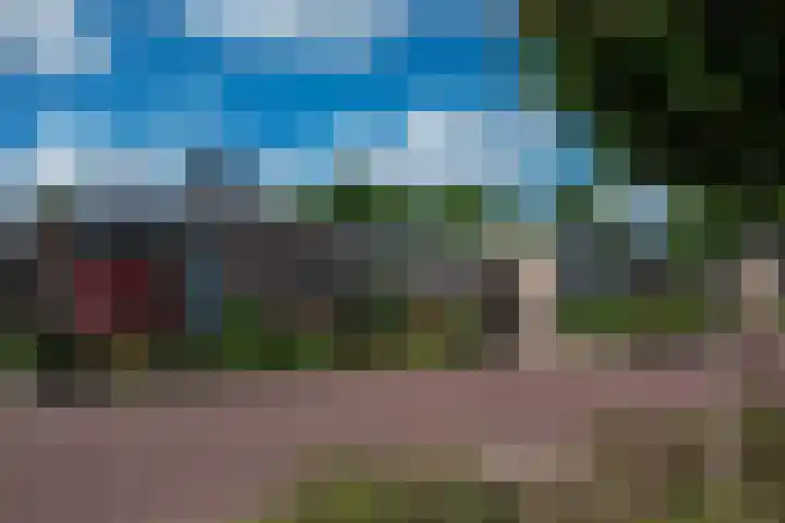 Lariksstraat 3 Alphen aan den Rijn thumbnail 4