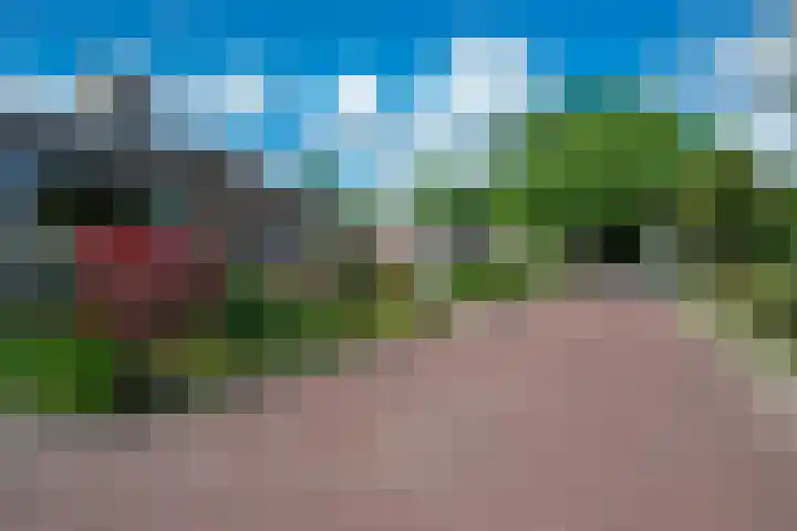 Lariksstraat 3 Alphen aan den Rijn thumbnail 5