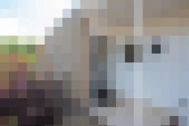 Lariksstraat 3 Alphen aan den Rijn thumbnail 6