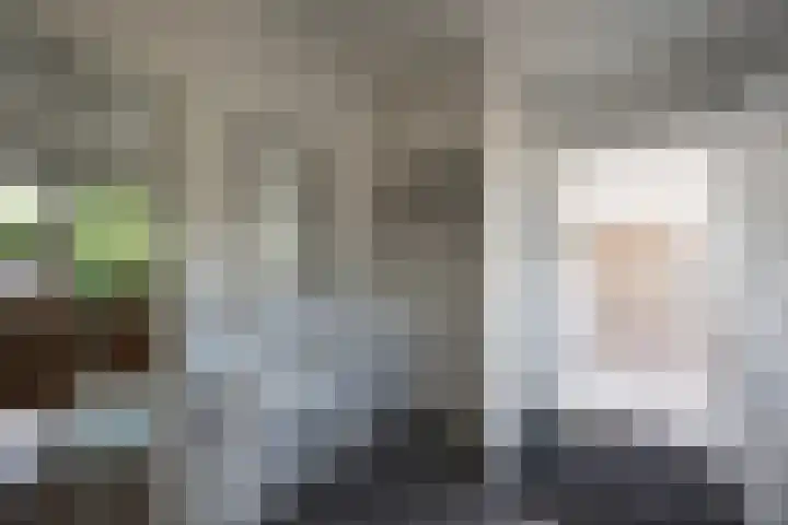 Lariksstraat 3 Alphen aan den Rijn thumbnail 7
