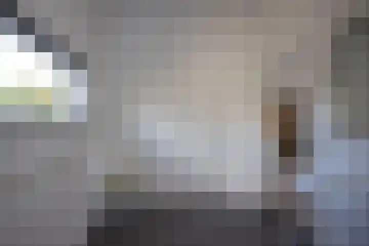 Lariksstraat 3 Alphen aan den Rijn thumbnail 8