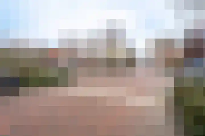 Lariksstraat 30 Breda thumbnail 32