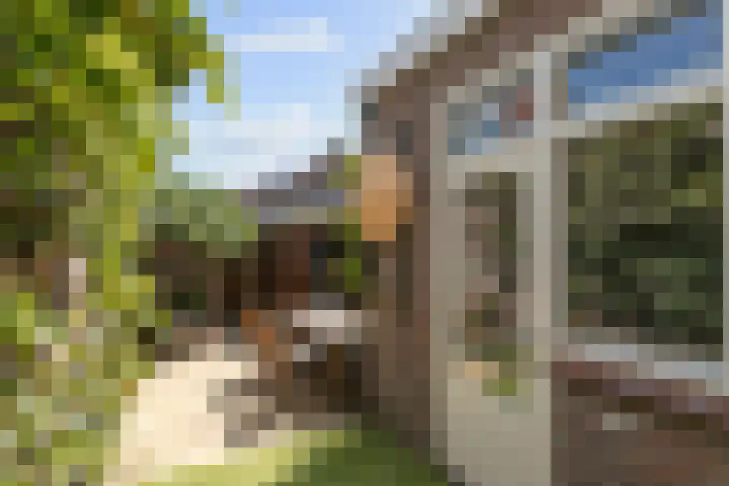 Lariksstraat 32 Breda thumbnail 15