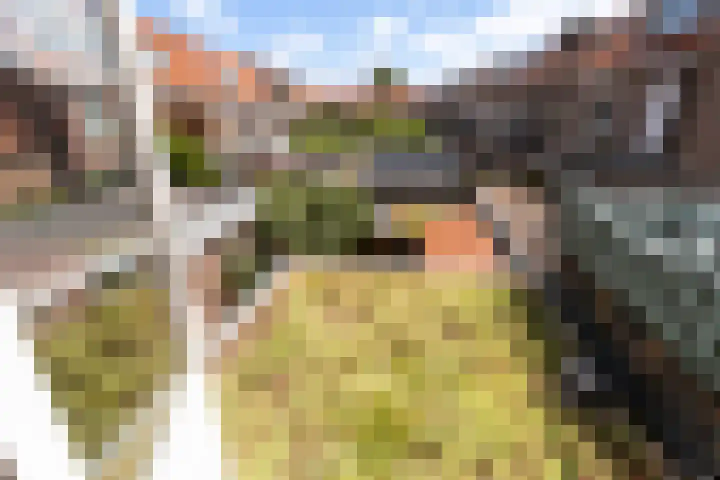 Lariksstraat 32 Breda thumbnail 24