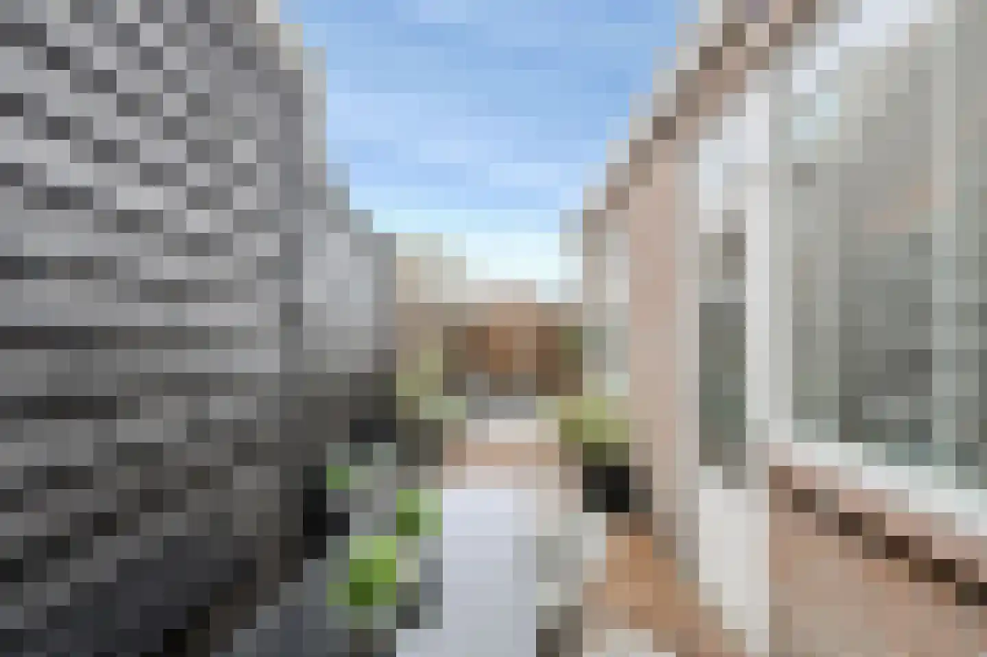 Lariksstraat 34 Breda thumbnail 42