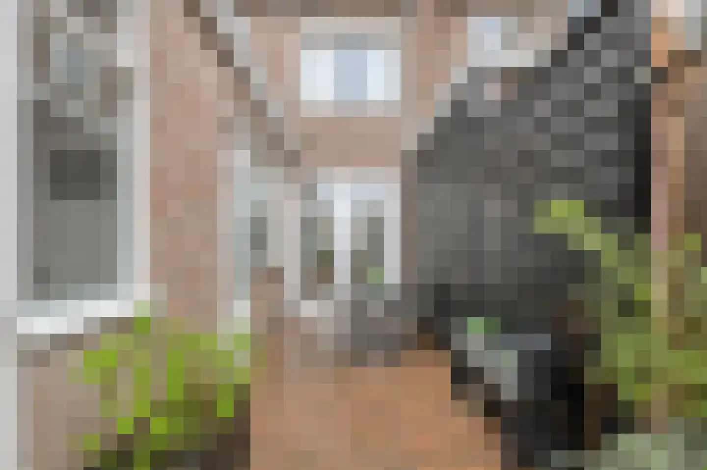 Lariksstraat 34 Breda thumbnail 47