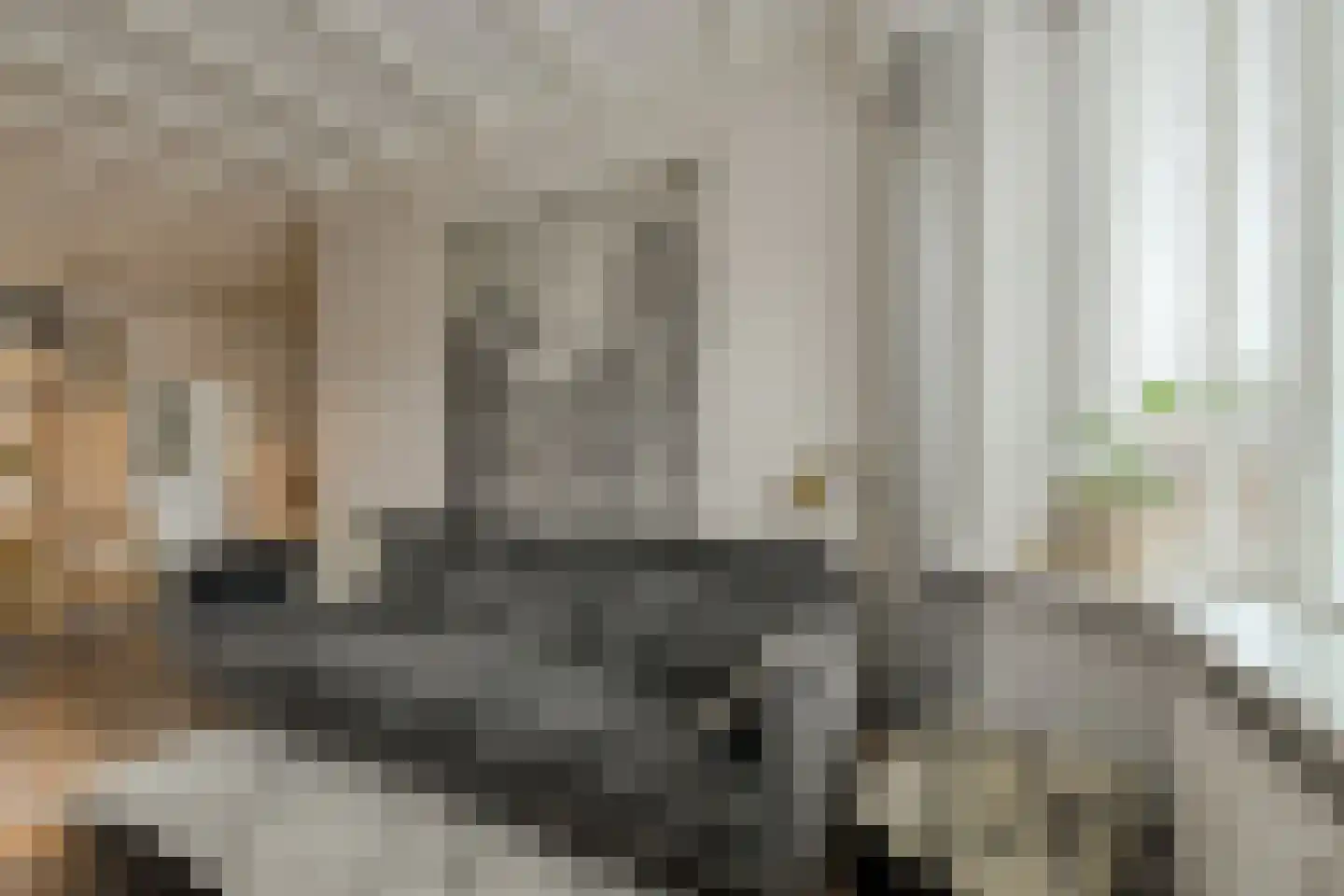 Lariksstraat 34 Breda thumbnail 8