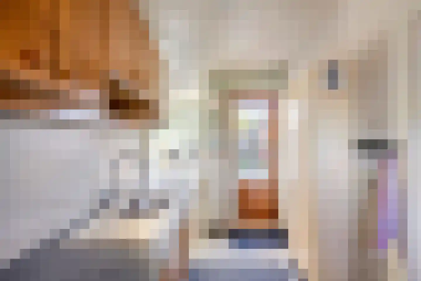 Lariksstraat 6 Alphen aan den Rijn thumbnail 20