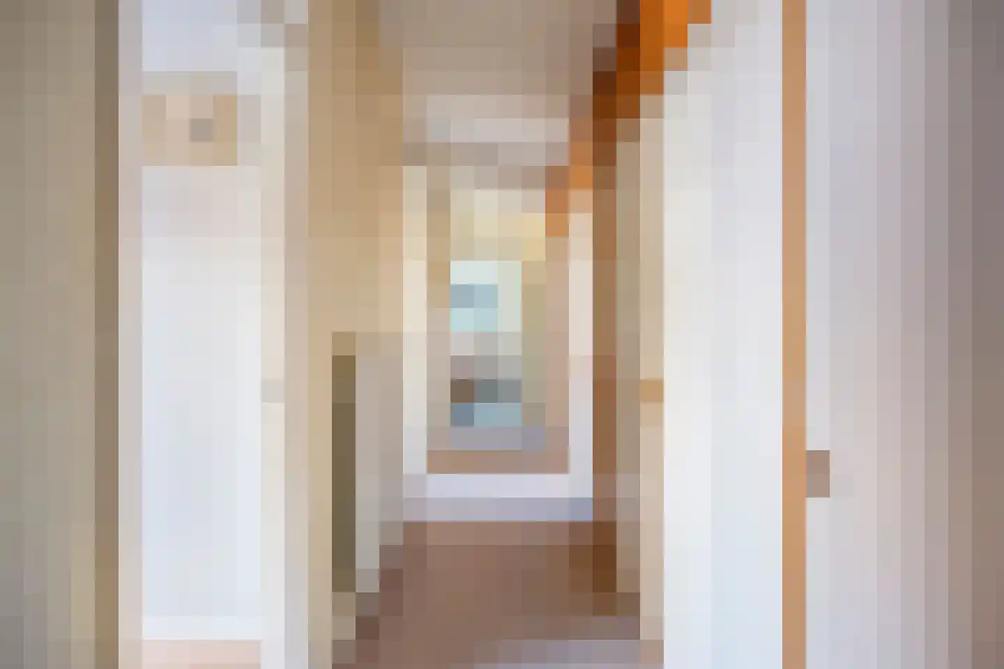 Lariksstraat 6 Alphen aan den Rijn thumbnail 22