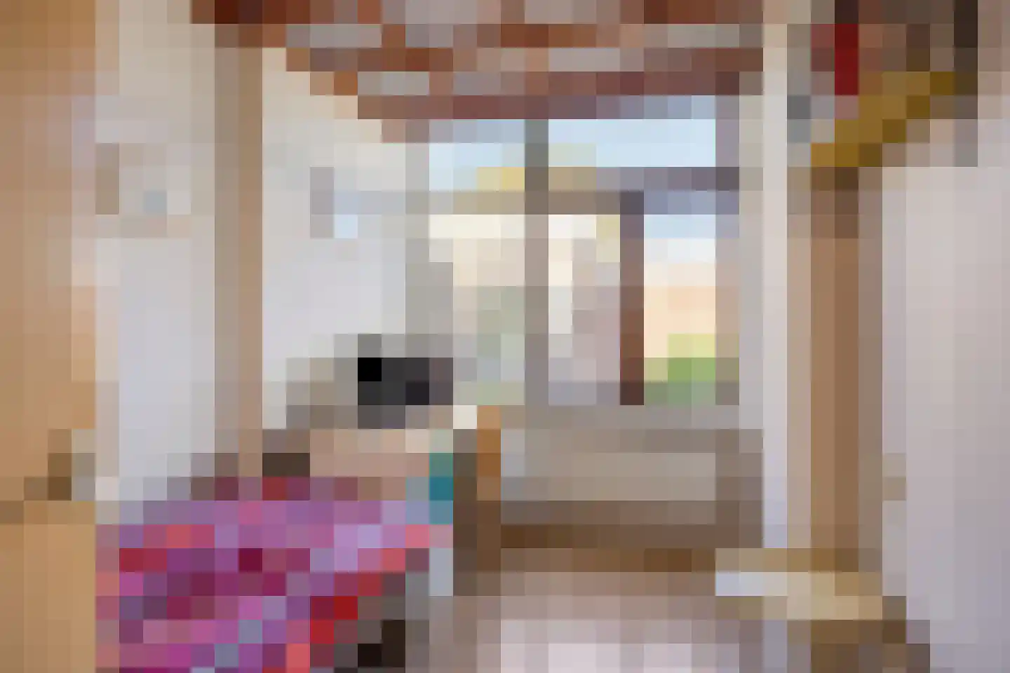 Lariksstraat 6 Alphen aan den Rijn thumbnail 23