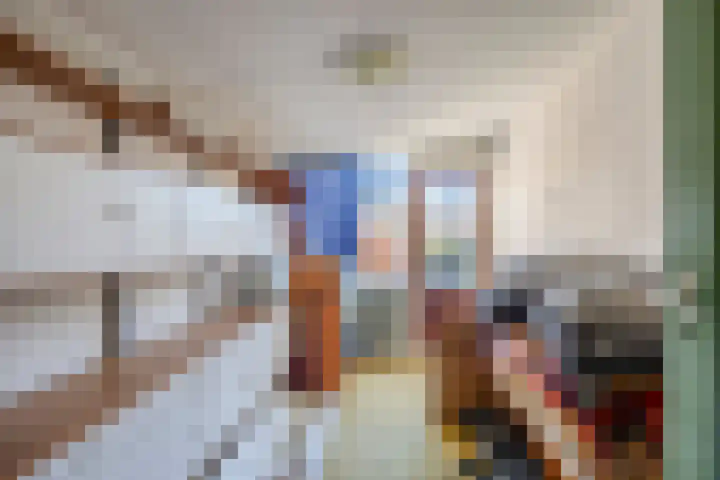 Lariksstraat 6 Alphen aan den Rijn thumbnail 34