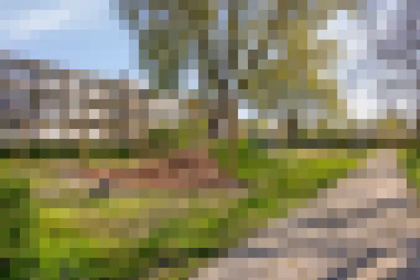 Lariksstraat 6 Alphen aan den Rijn thumbnail 44
