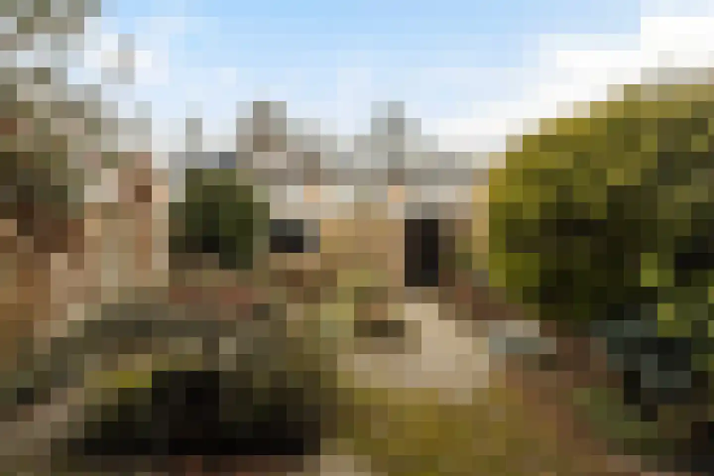 Lariksstraat 6 Dordrecht thumbnail 22