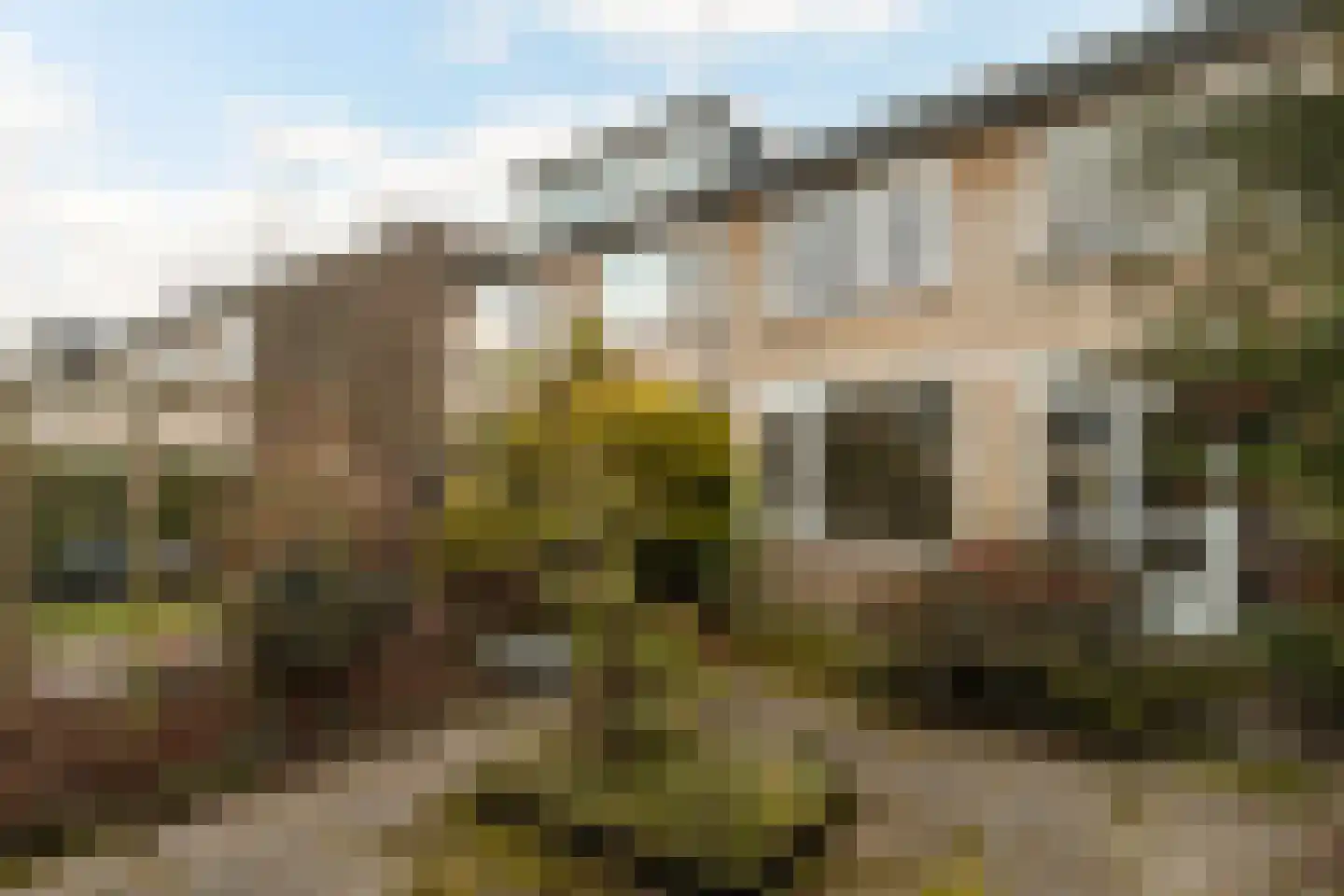 Lariksstraat 6 Dordrecht thumbnail 24