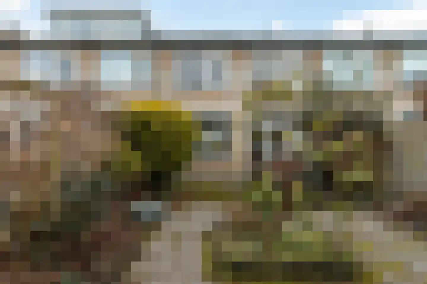 Lariksstraat 6 Dordrecht thumbnail 26
