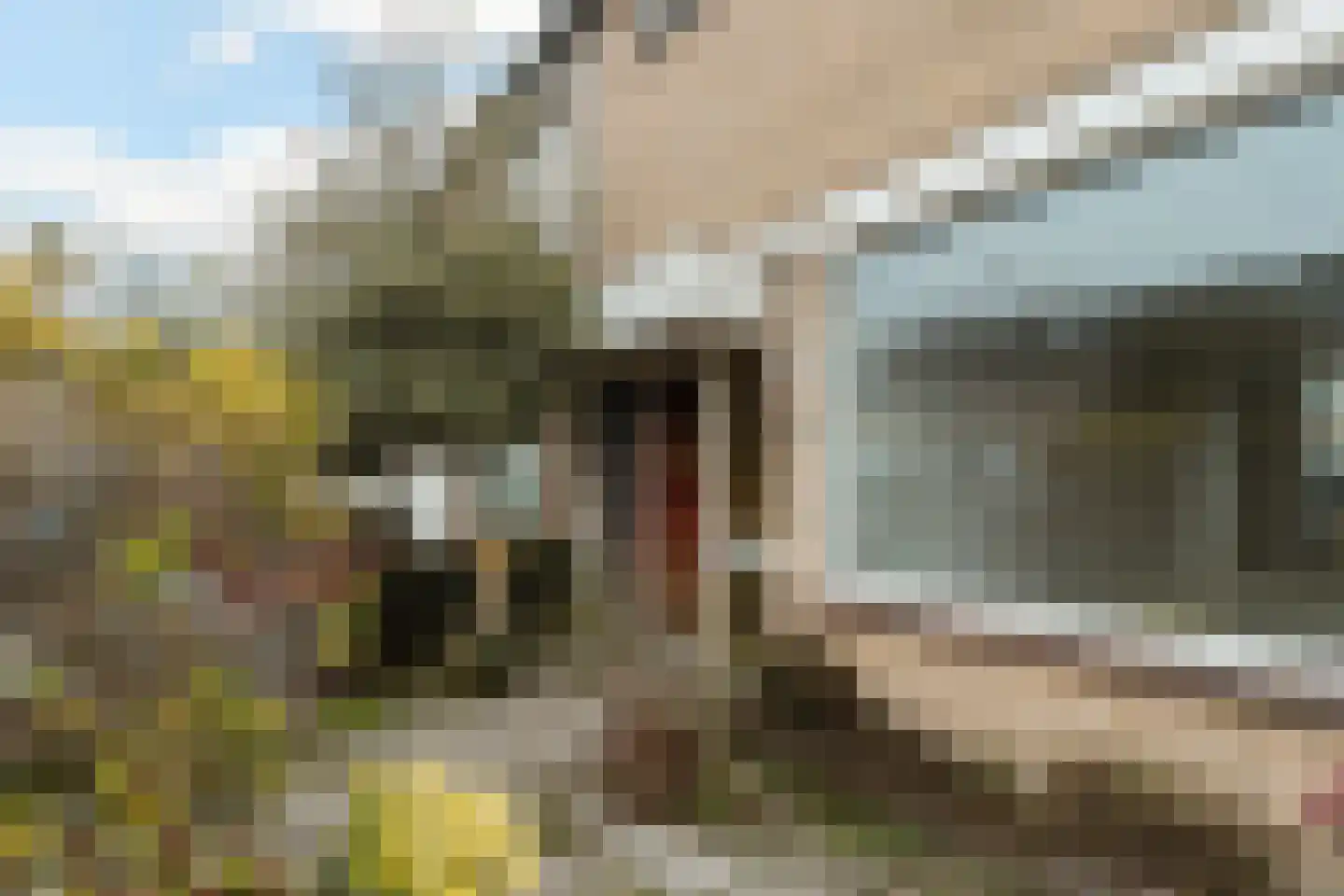 Lariksstraat 6 Dordrecht thumbnail 29