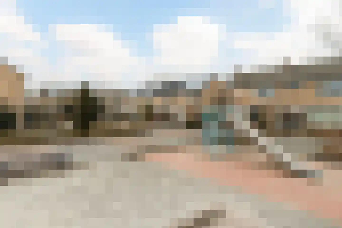 Lariksstraat 6 Dordrecht thumbnail 31