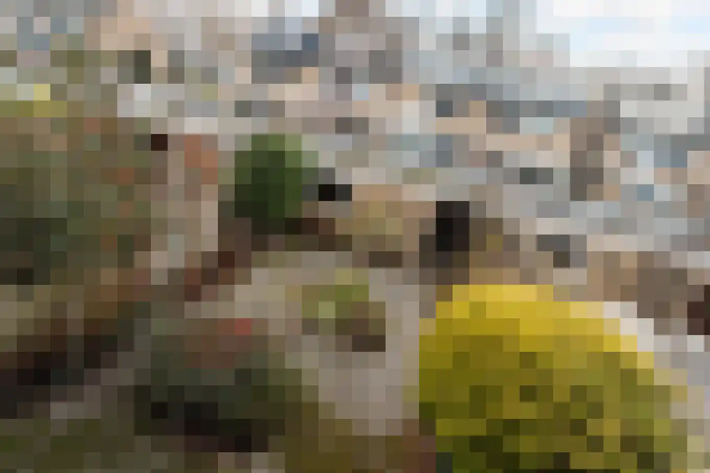 Lariksstraat 6 Dordrecht thumbnail 4