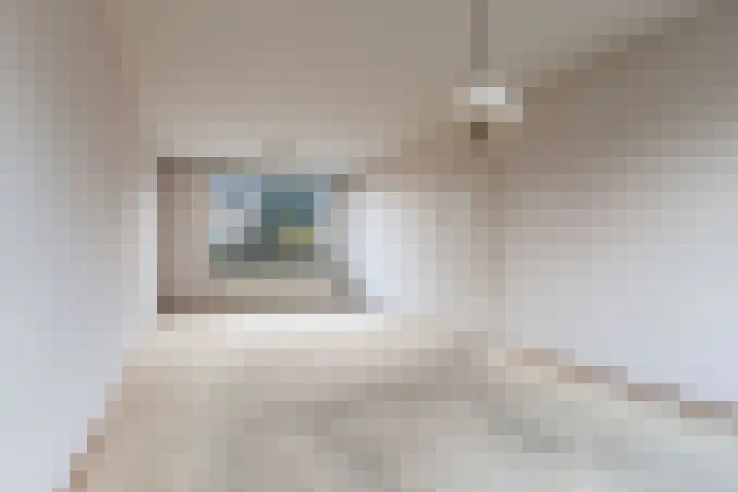 Lariksstraat 6 Dordrecht thumbnail 8