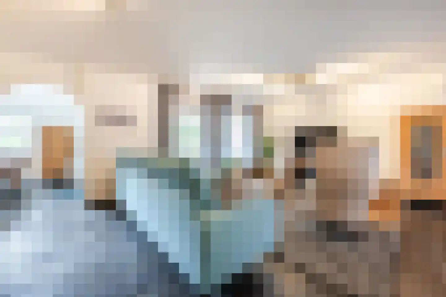Lariksstraat 74 Echt thumbnail 10