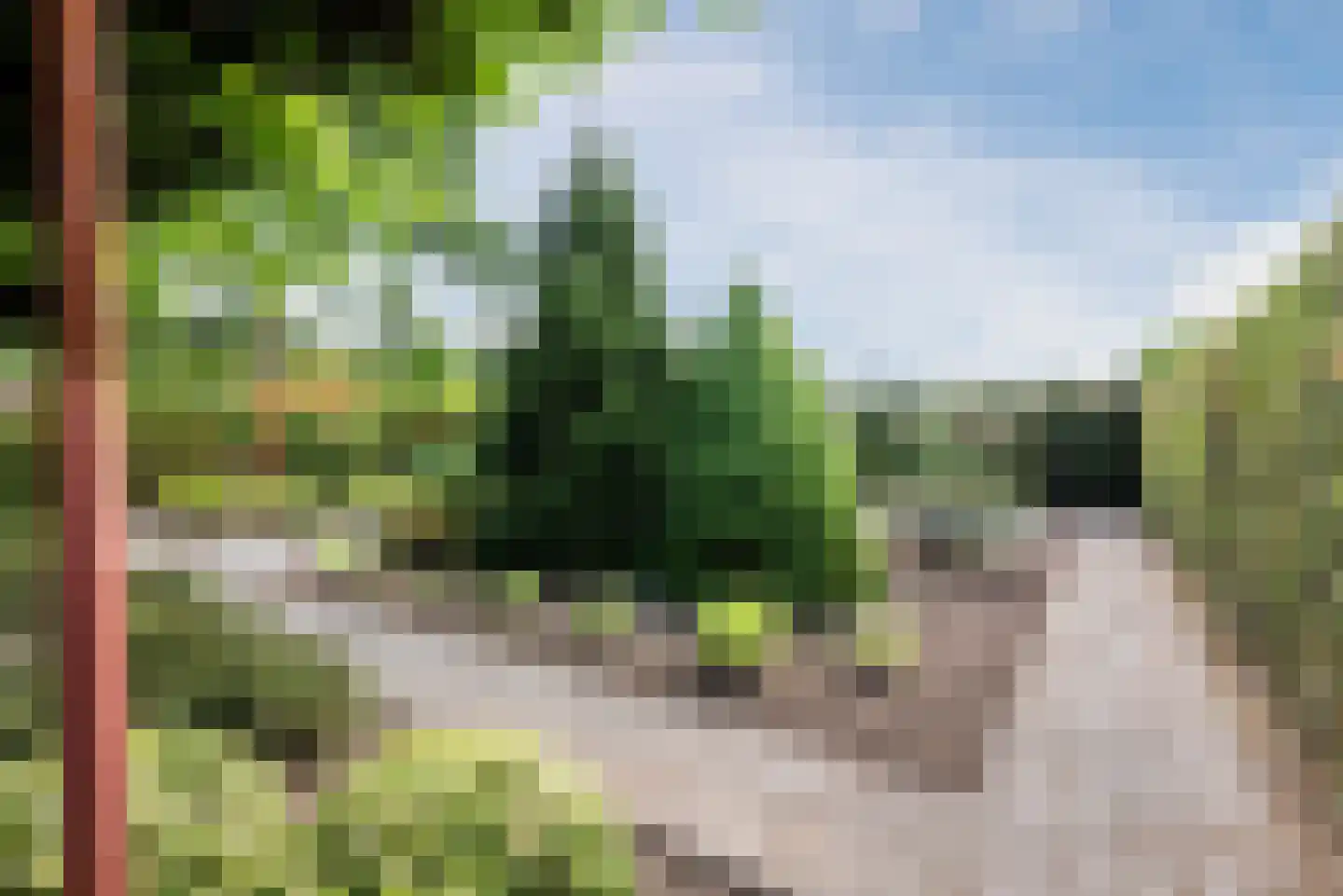 Lariksstraat 74 Echt thumbnail 19