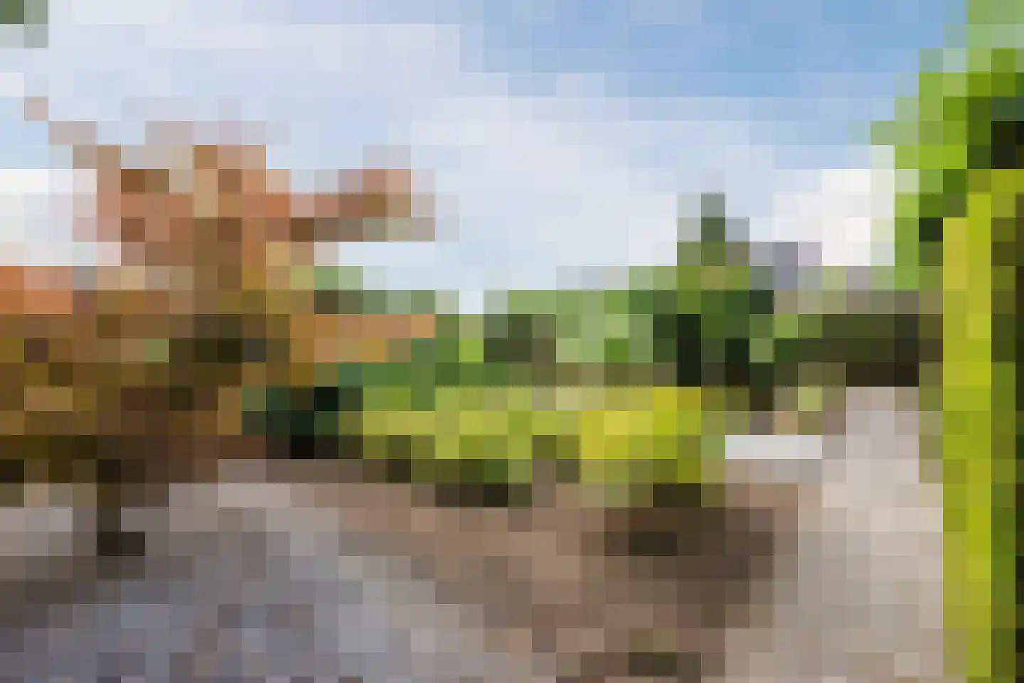 Lariksstraat 74 Echt thumbnail 21