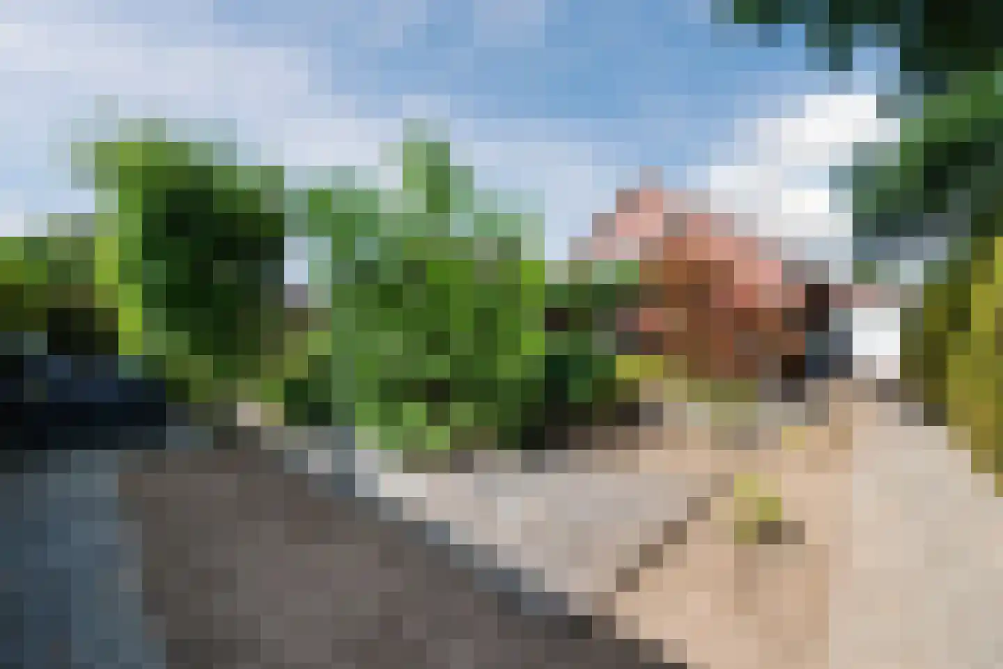 Lariksstraat 74 Echt thumbnail 22