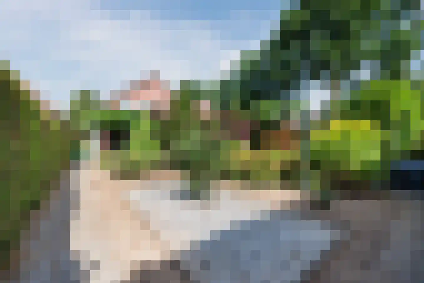 Lariksstraat 74 Echt thumbnail 24