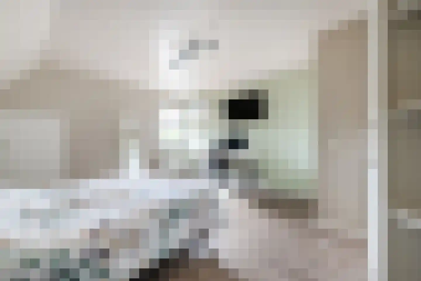 Lariksstraat 74 Echt thumbnail 28