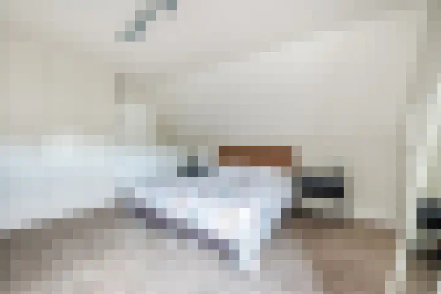 Lariksstraat 74 Echt thumbnail 30