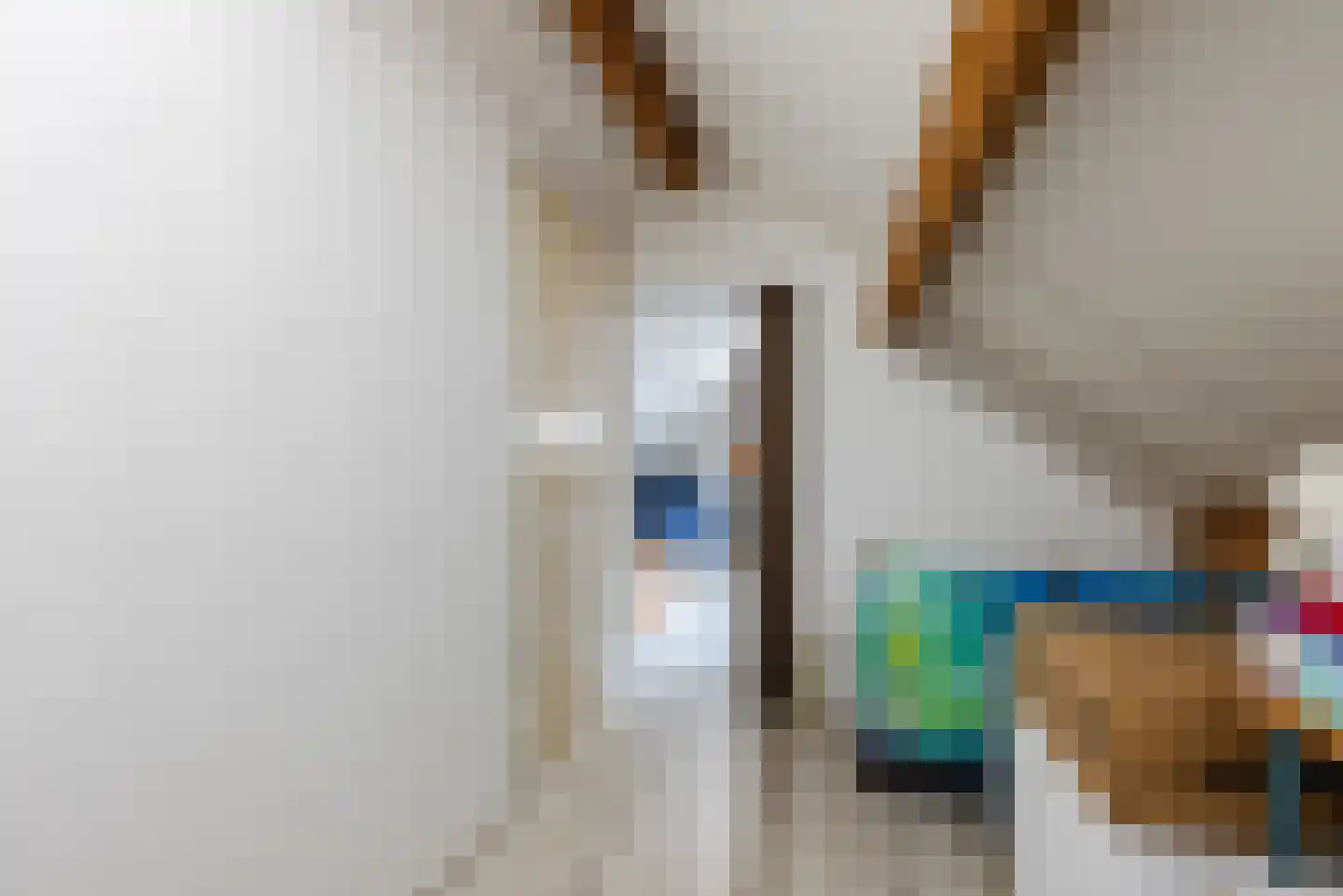 Lariksstraat 74 Echt thumbnail 39
