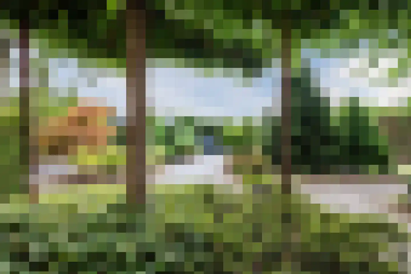 Lariksstraat 74 Echt thumbnail 4