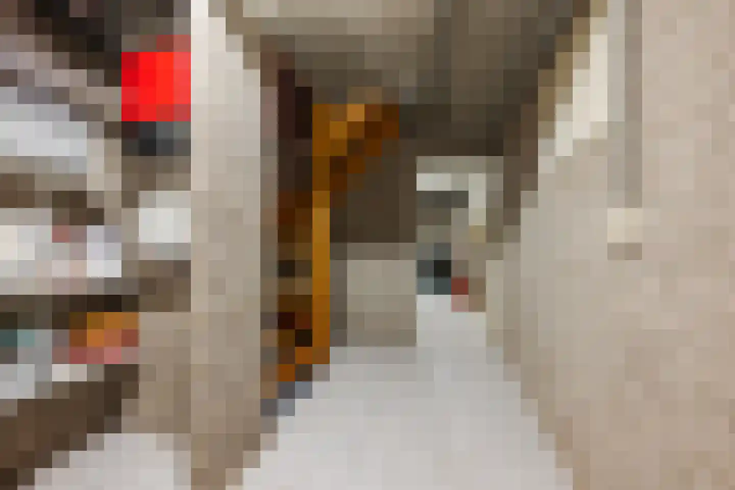 Lariksstraat 74 Echt thumbnail 41