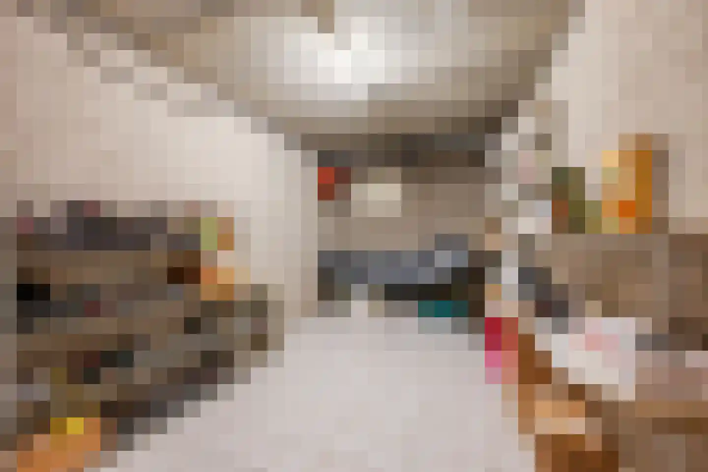 Lariksstraat 74 Echt thumbnail 42