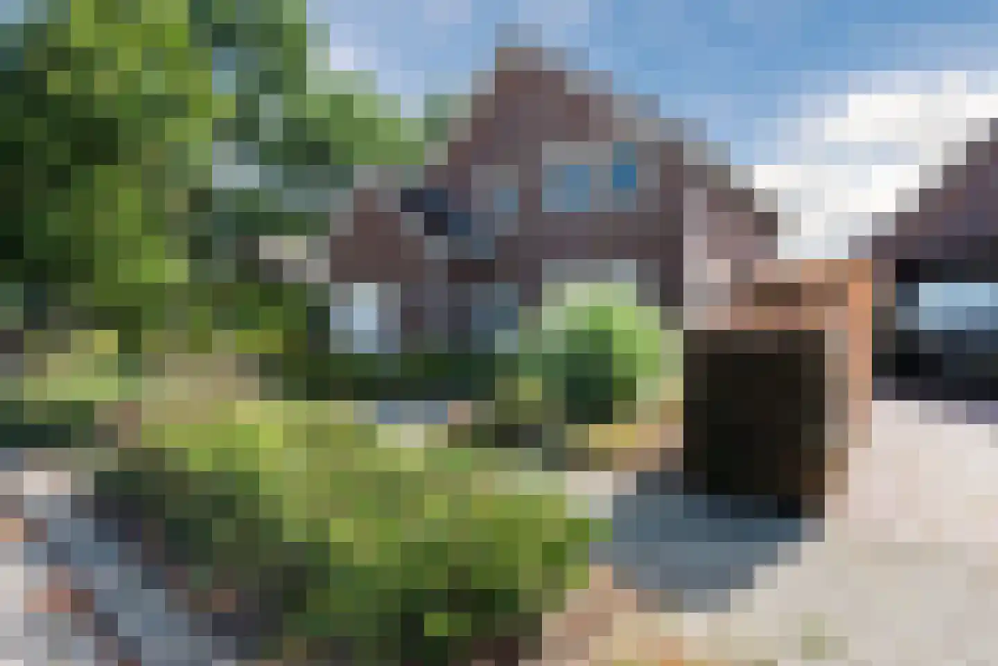 Lariksstraat 74 Echt thumbnail 6