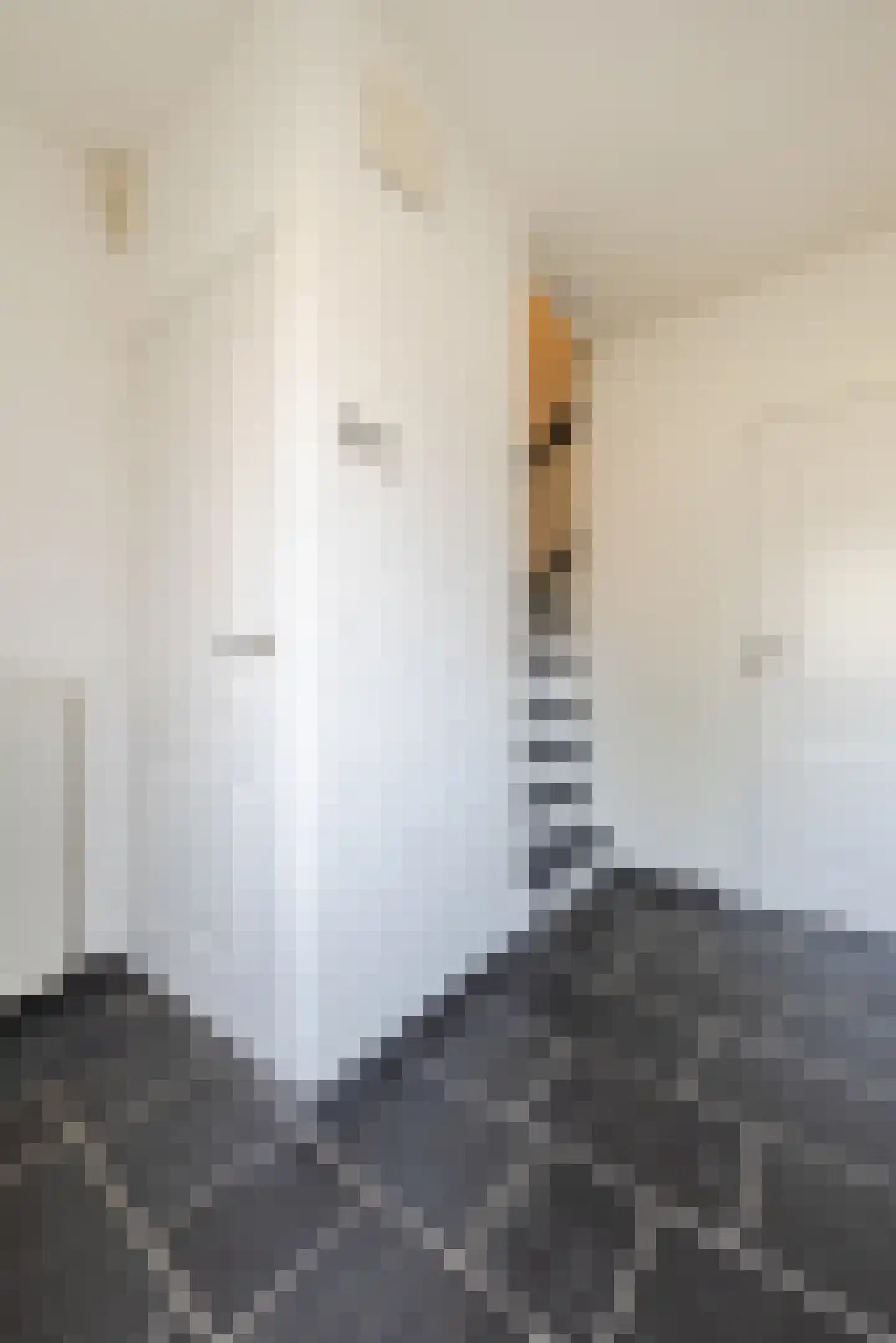 Lariksstraat 74 Echt thumbnail 7
