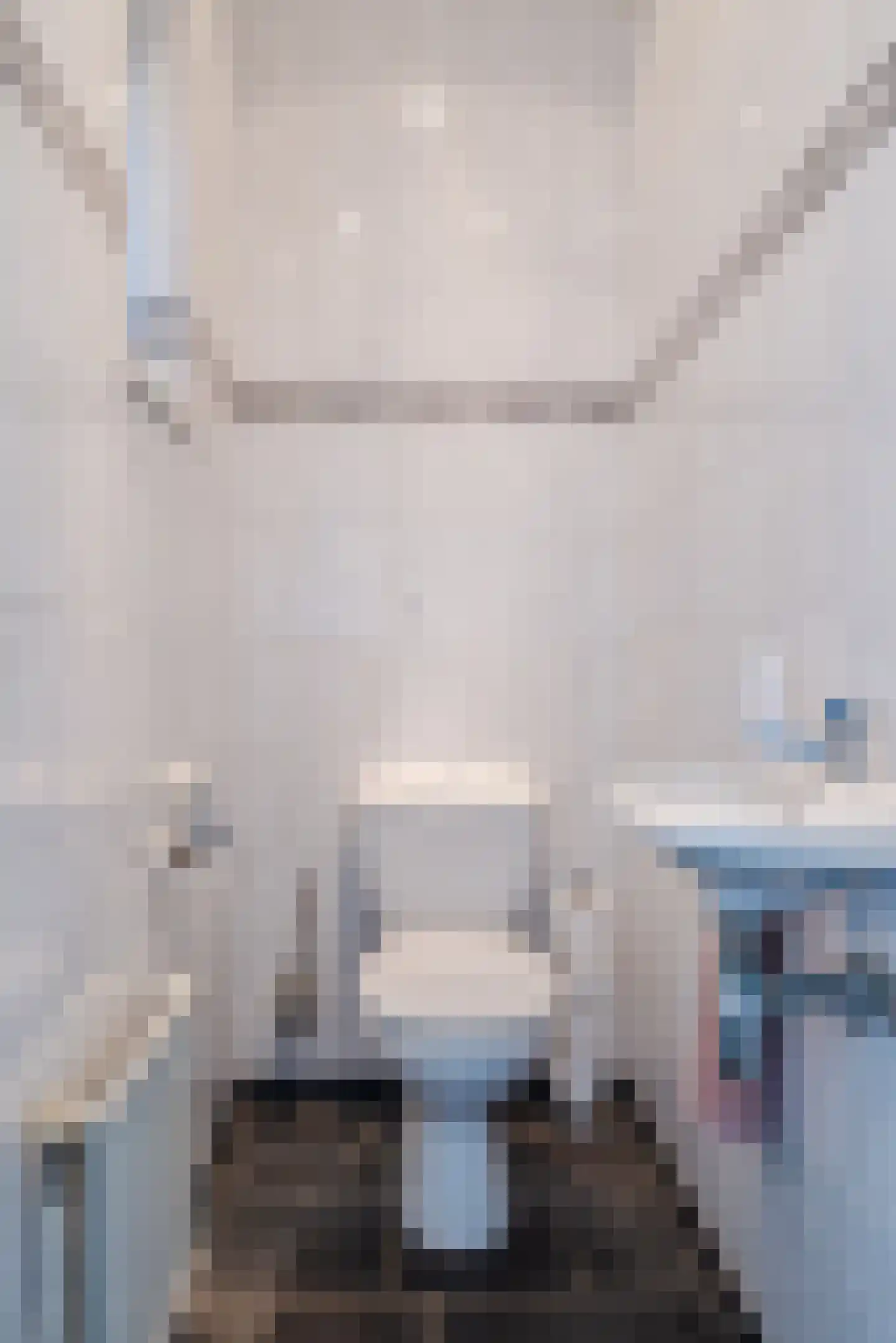 Lariksstraat 74 Echt thumbnail 8