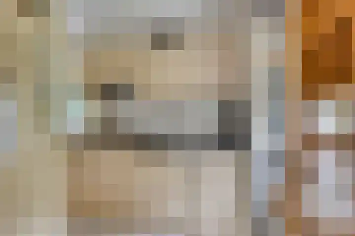 Lariksweg 12 Emst thumbnail 13