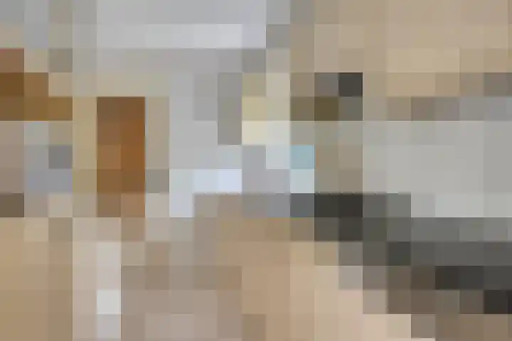 Lariksweg 12 Emst thumbnail 14