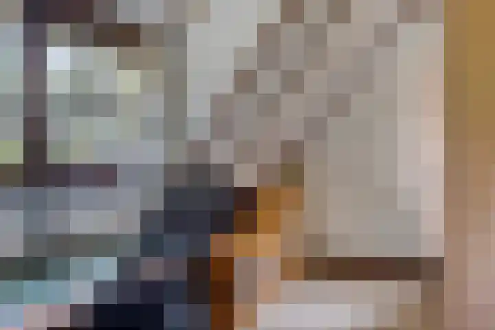 Lariksweg 12 Emst thumbnail 22