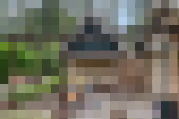 Lariksweg 12 Emst thumbnail 24