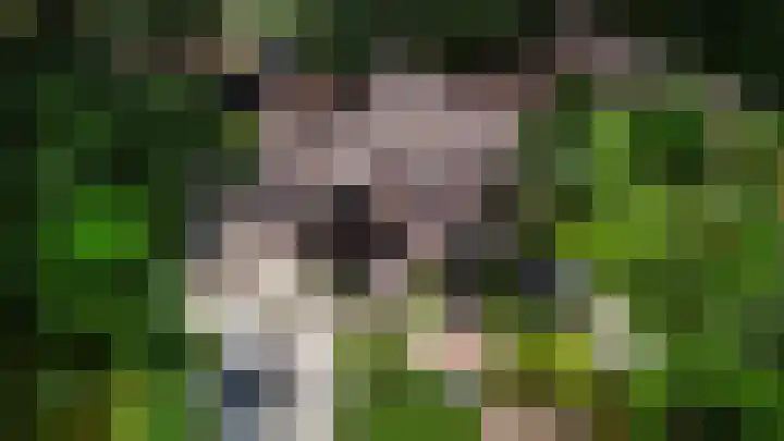 Lariksweg 12 Emst thumbnail 26