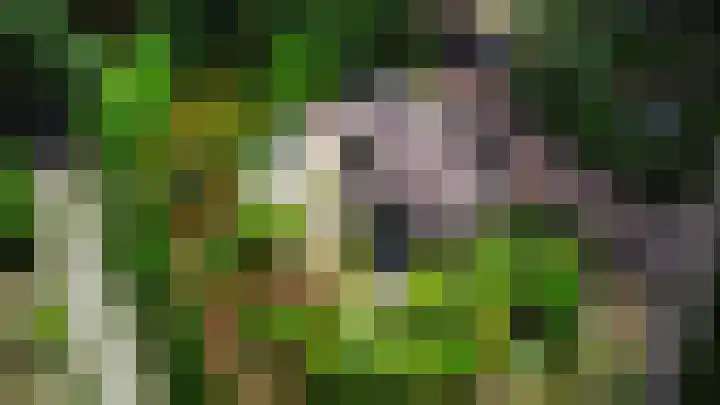 Lariksweg 12 Emst thumbnail 27