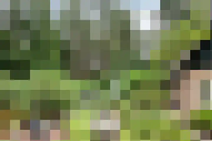 Lariksweg 12 Emst thumbnail 30
