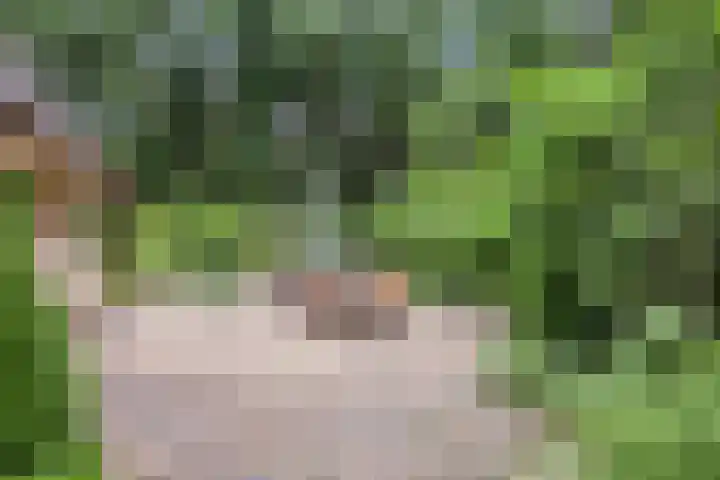 Lariksweg 12 Emst thumbnail 31