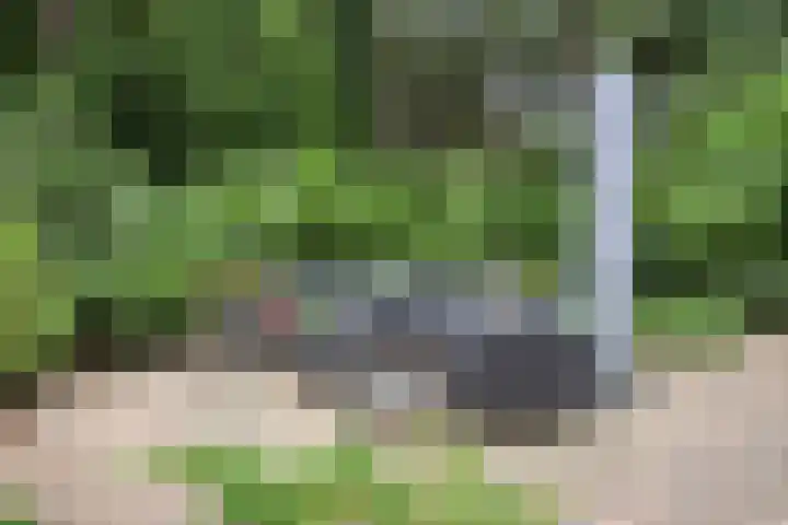 Lariksweg 12 Emst thumbnail 33