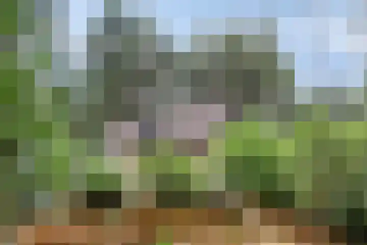 Lariksweg 12 Emst thumbnail 35