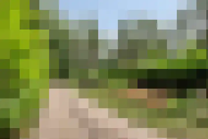 Lariksweg 12 Emst thumbnail 39