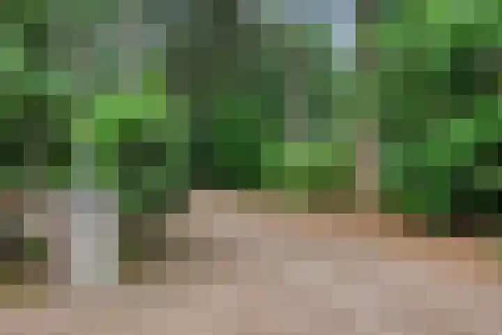 Lariksweg 12 Emst thumbnail 41