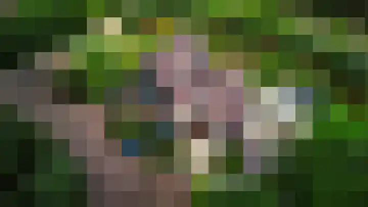 Lariksweg 12 Emst thumbnail 45